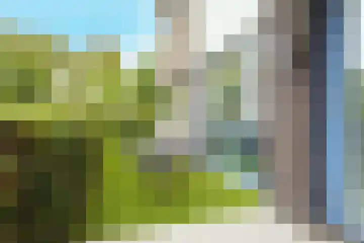 Kastanjelaan 16 c Ridderkerk thumbnail 32
