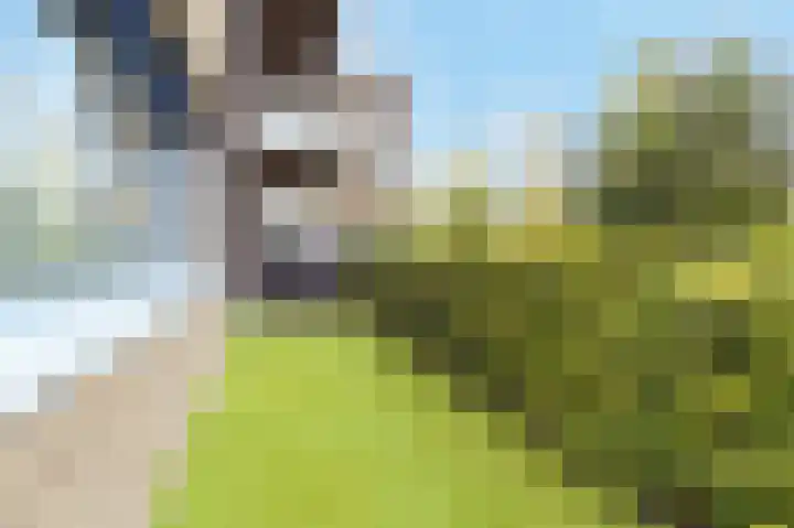 Kastanjelaan 16 c Ridderkerk thumbnail 35