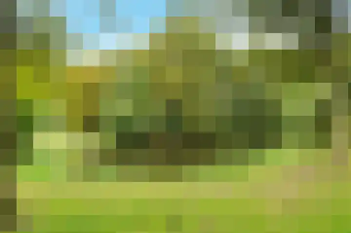 Kastanjelaan 16 c Ridderkerk thumbnail 38