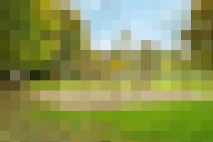 Kastanjelaan 16 c Ridderkerk thumbnail 39