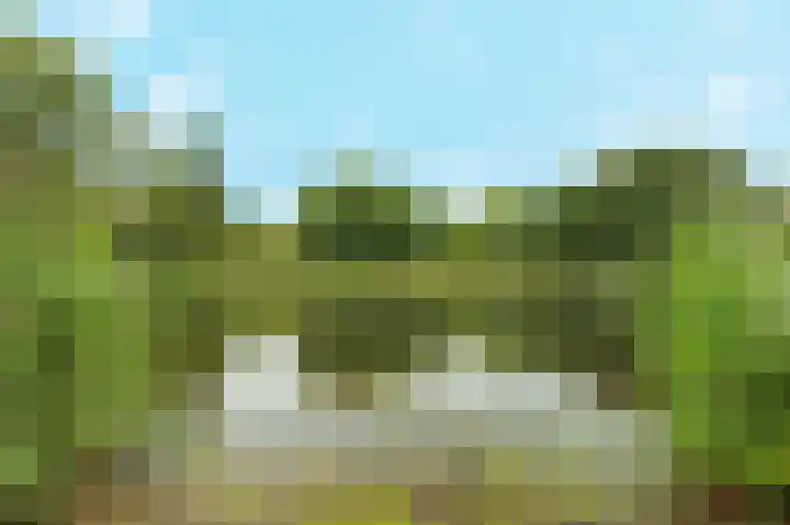 Kastanjelaan 16 c Ridderkerk thumbnail 40