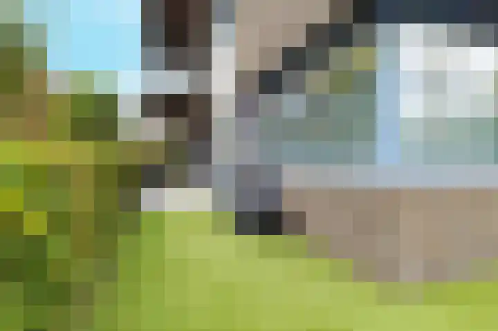 Kastanjelaan 16 c Ridderkerk thumbnail 6