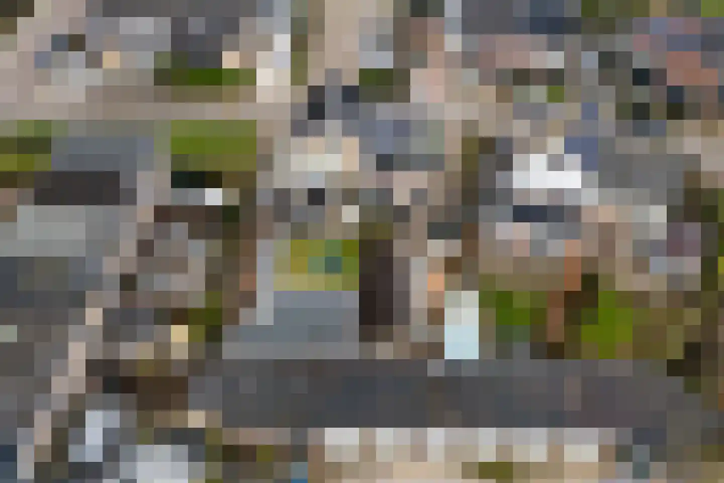 Kastanjelaan 16 Harmelen thumbnail 22