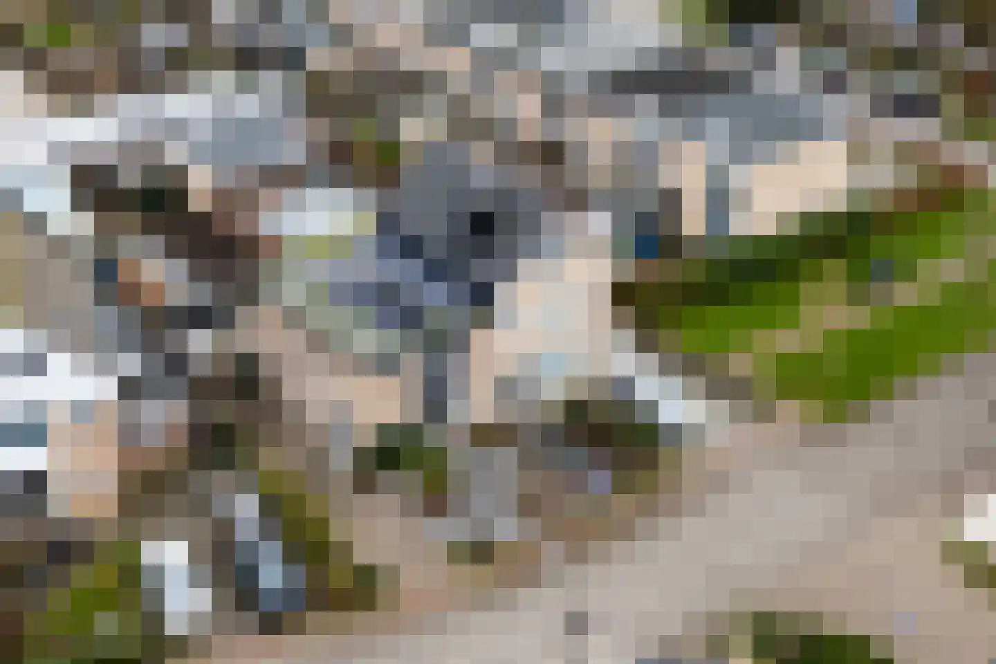 Kastanjelaan 16 Harmelen thumbnail 23