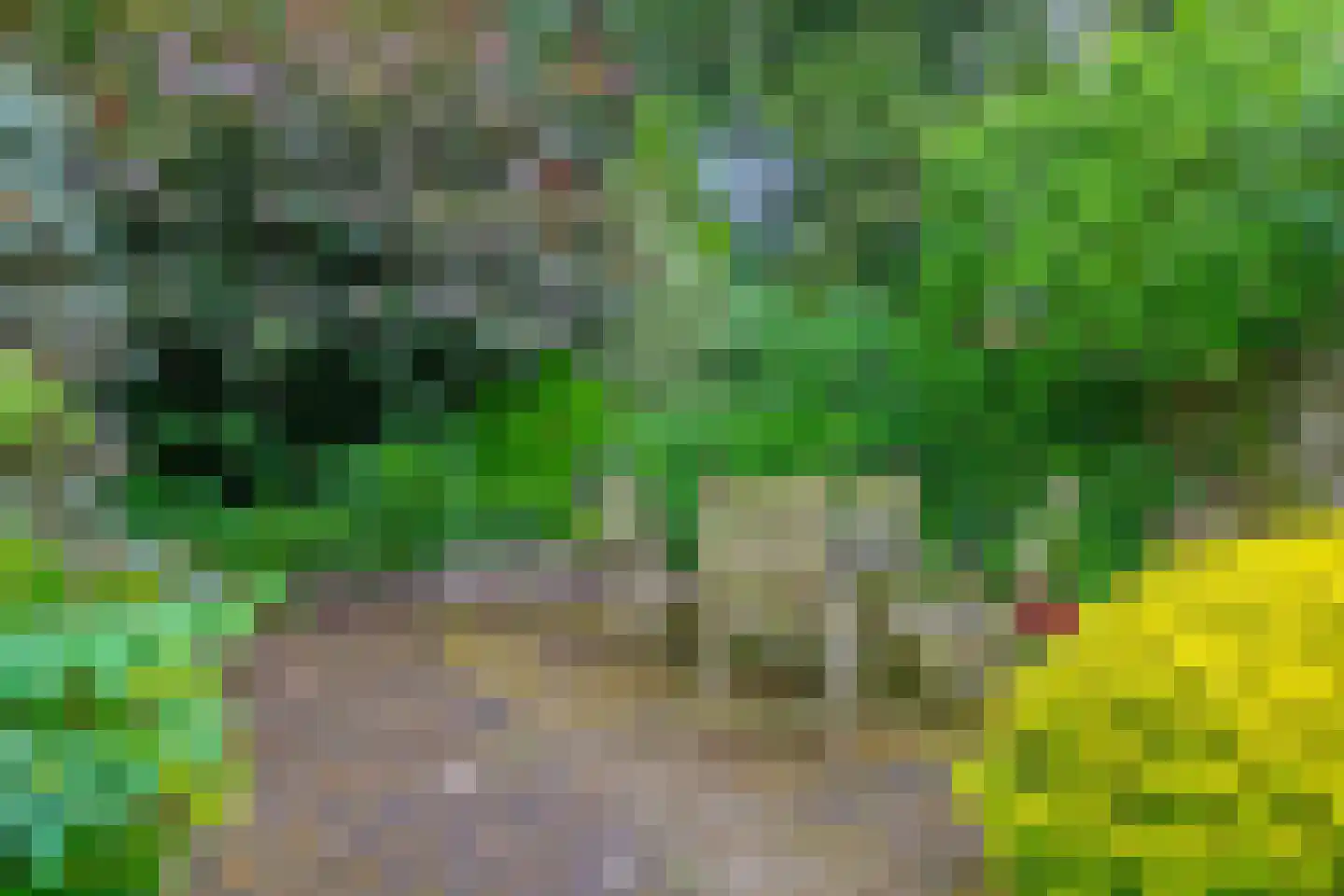 Kastanjelaan 16 Maarn thumbnail 25