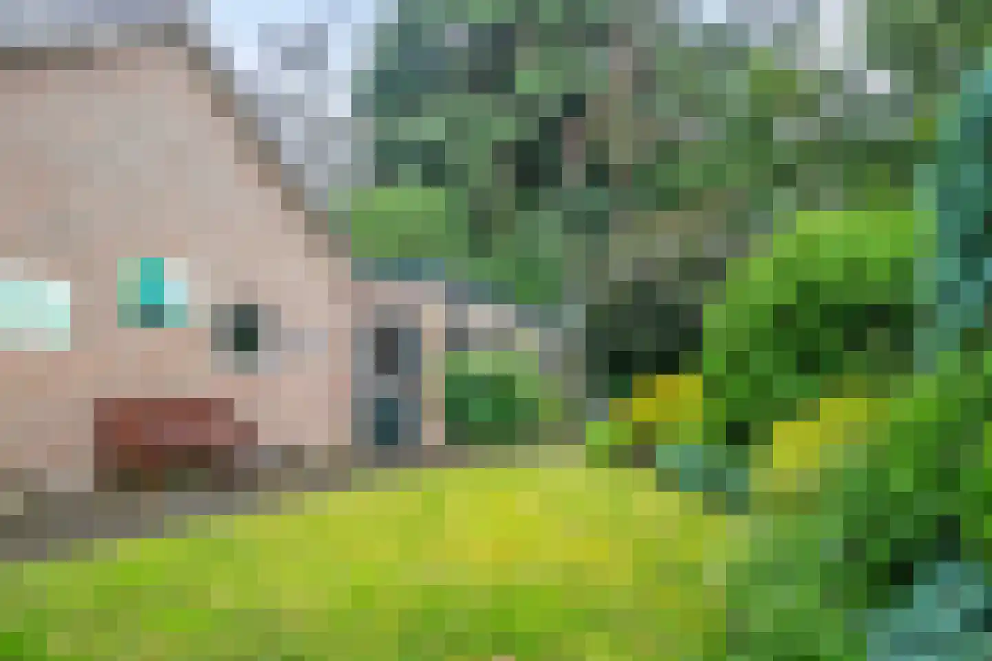 Kastanjelaan 16 Maarn thumbnail 28