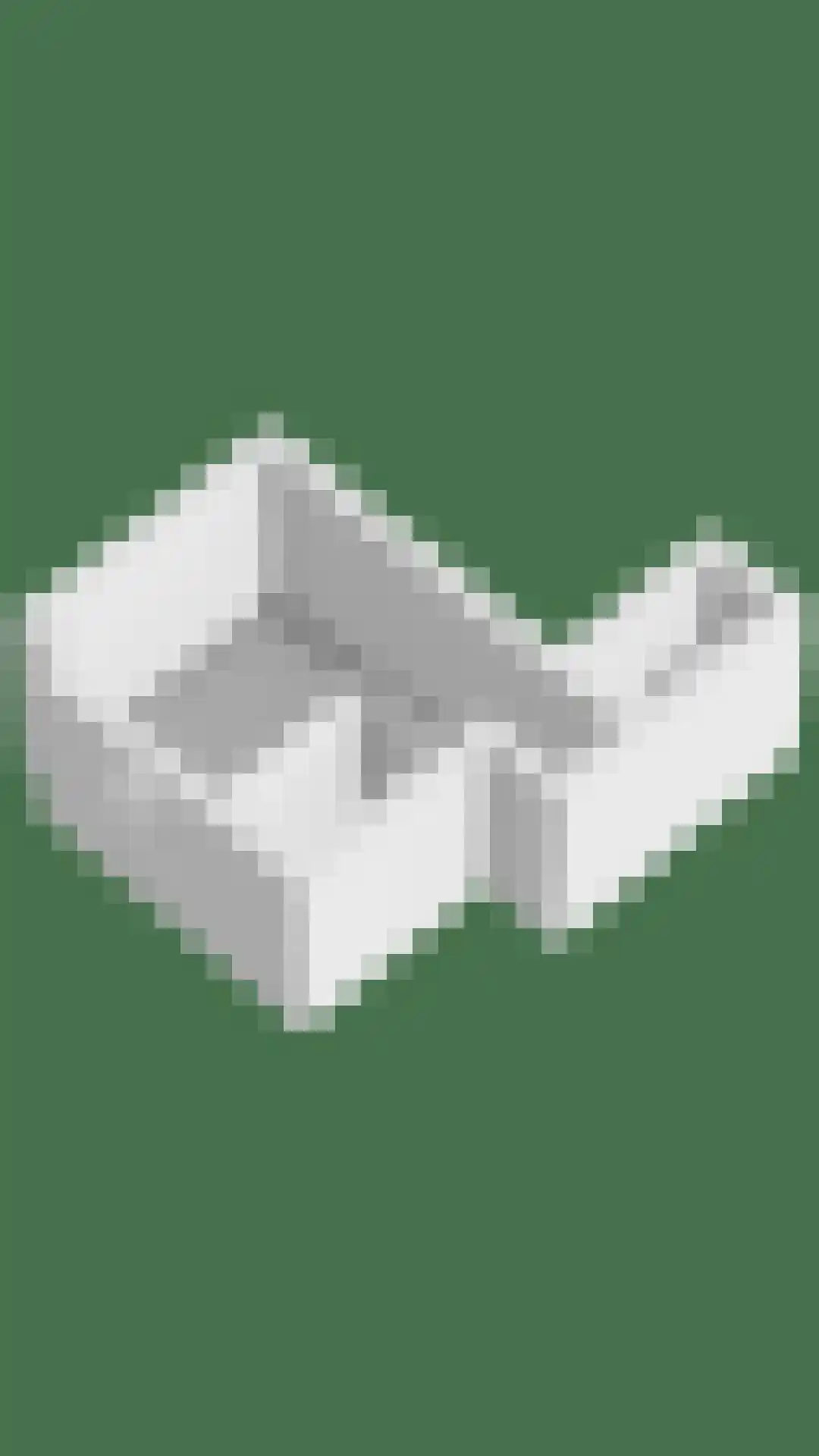 Kastanjelaan 16 Velp thumbnail 43