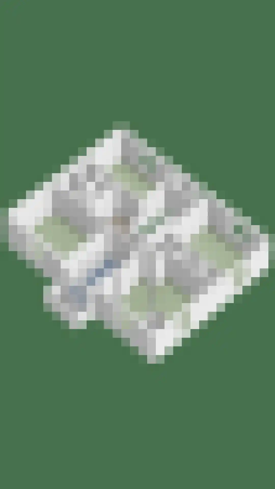 Kastanjelaan 16 Velp thumbnail 44