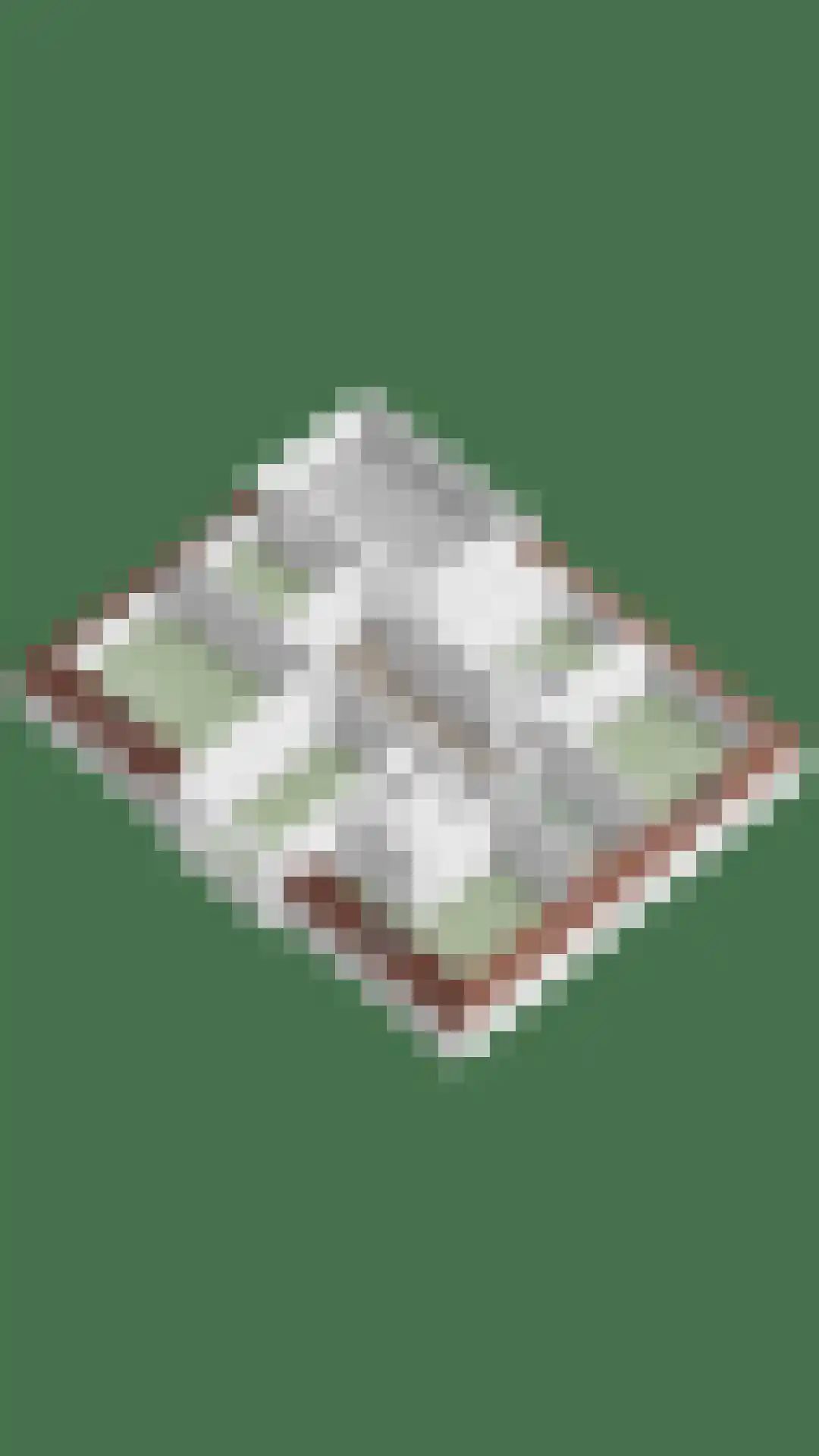 Kastanjelaan 16 Velp thumbnail 46