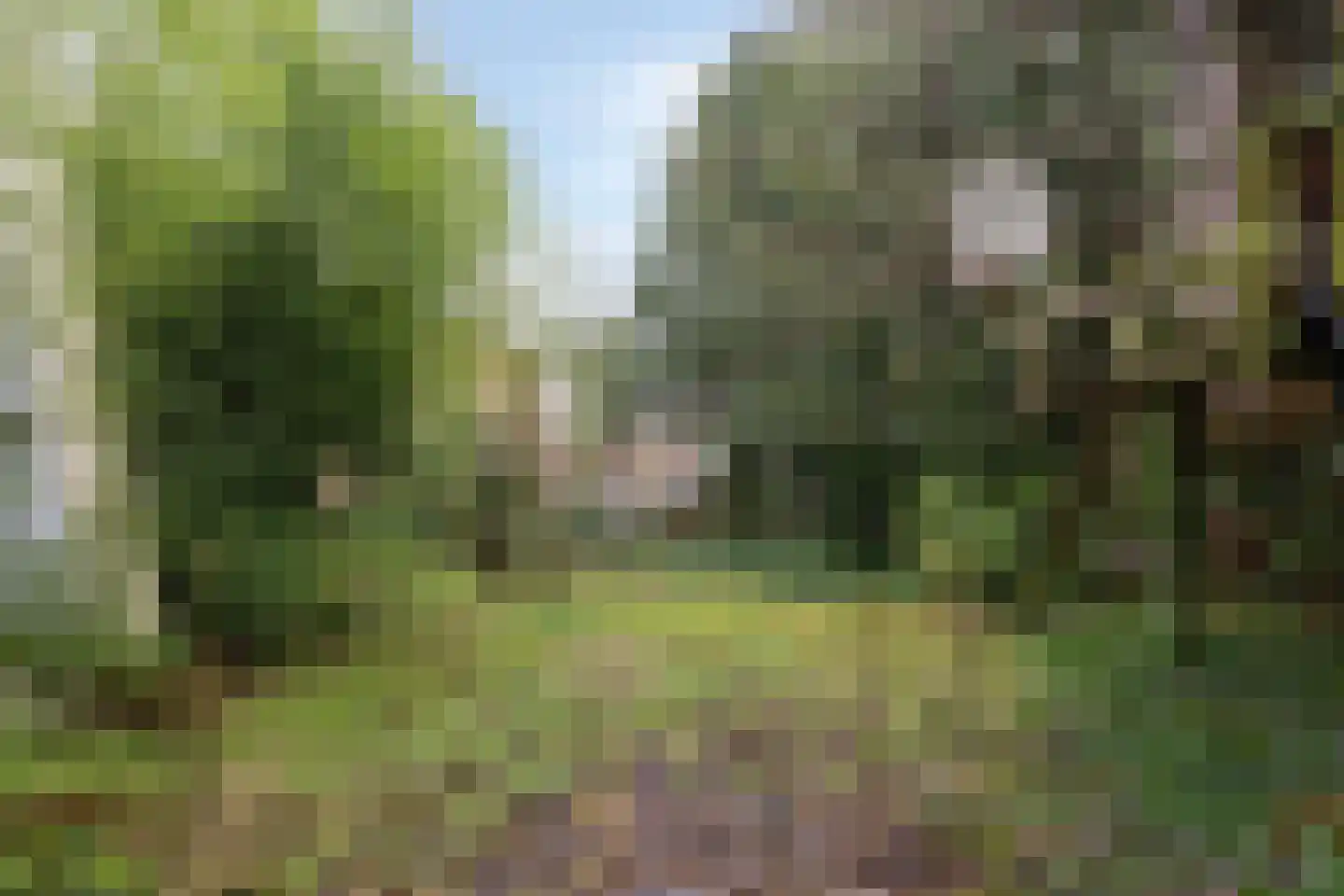 Kastanjelaan 16 Velp thumbnail 49