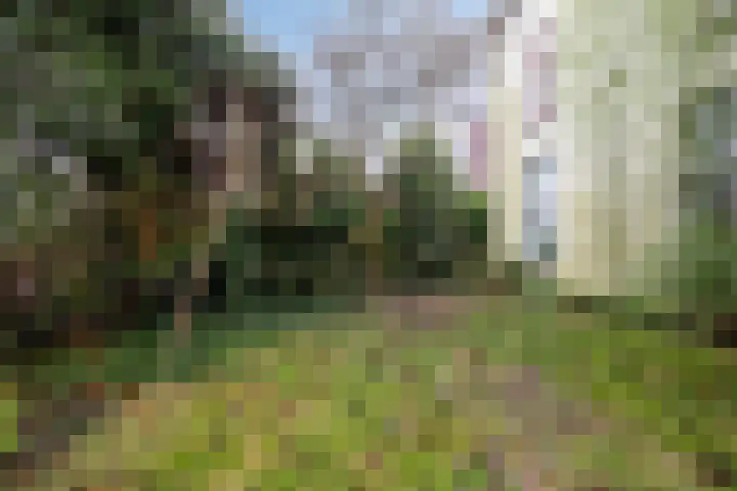 Kastanjelaan 16 Velp thumbnail 50