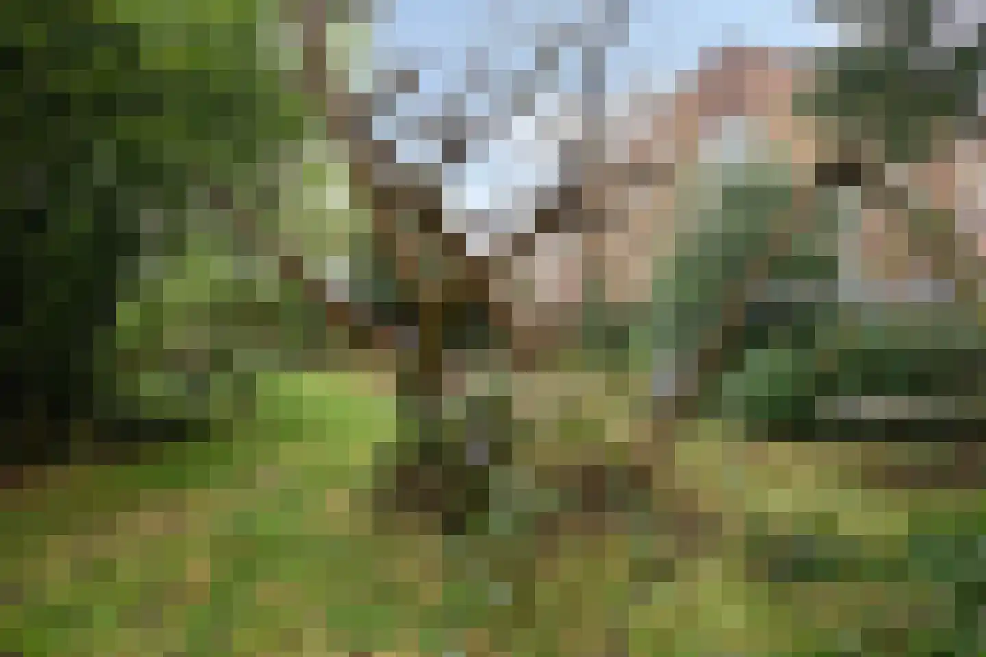 Kastanjelaan 16 Velp thumbnail 51