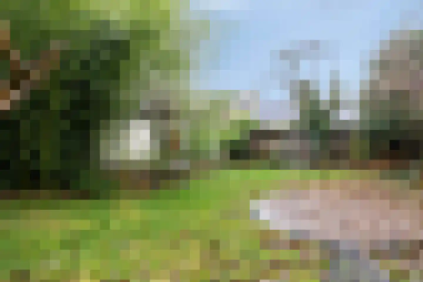 Kastanjelaan 16 Velp thumbnail 52