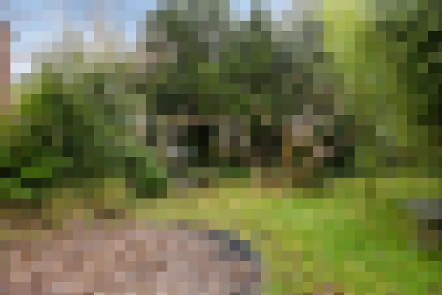 Kastanjelaan 16 Velp thumbnail 53