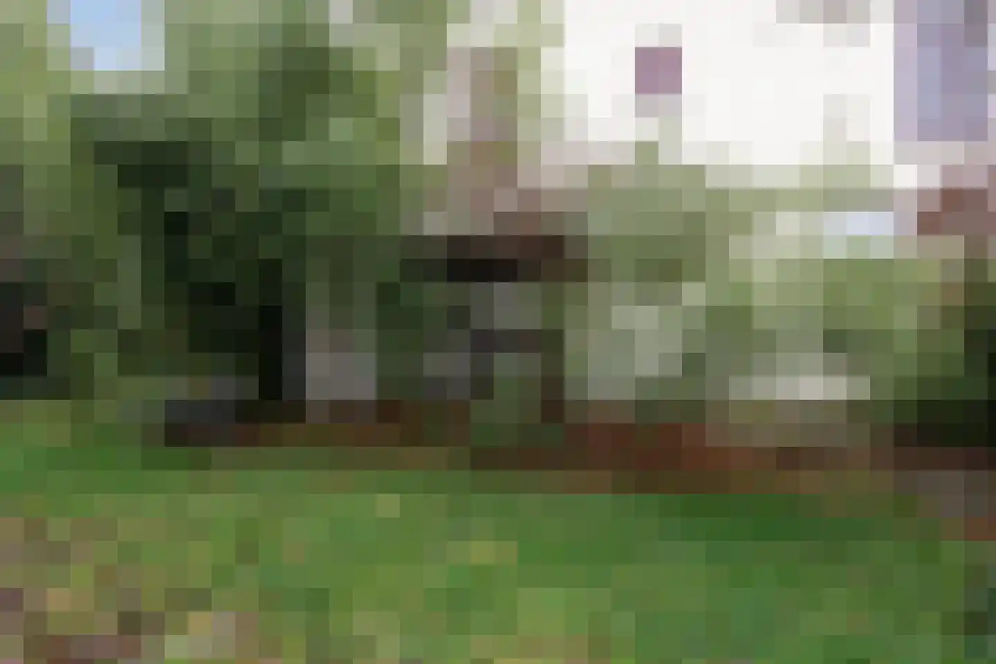 Kastanjelaan 16 Velp thumbnail 54