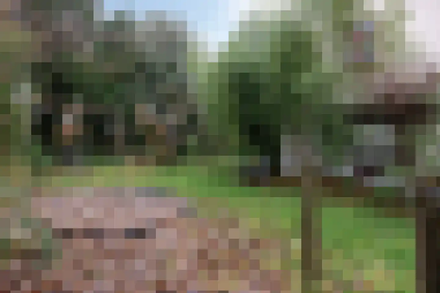 Kastanjelaan 16 Velp thumbnail 55