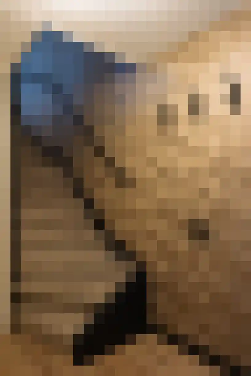 Kastanjelaan 162 Halsteren thumbnail 10