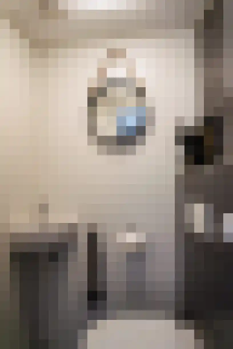 Kastanjelaan 162 Halsteren thumbnail 11