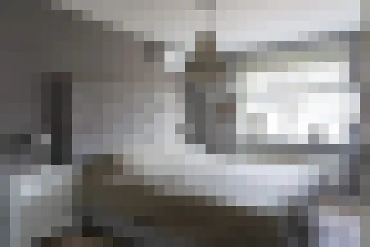 Kastanjelaan 162 Halsteren thumbnail 12