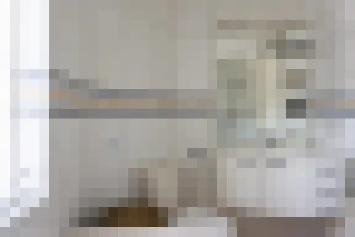Kastanjelaan 162 Halsteren thumbnail 16