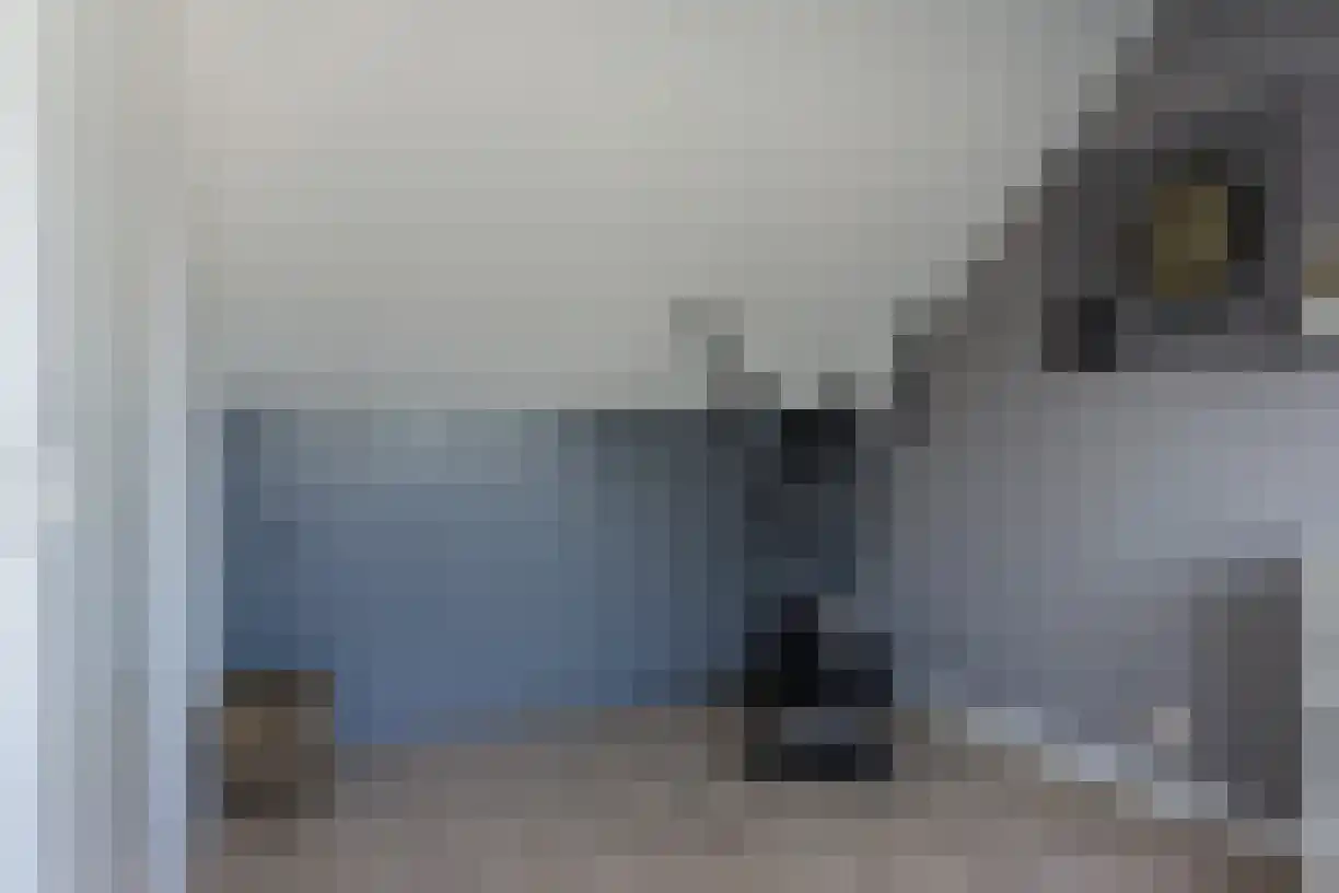 Kastanjelaan 162 Halsteren thumbnail 19