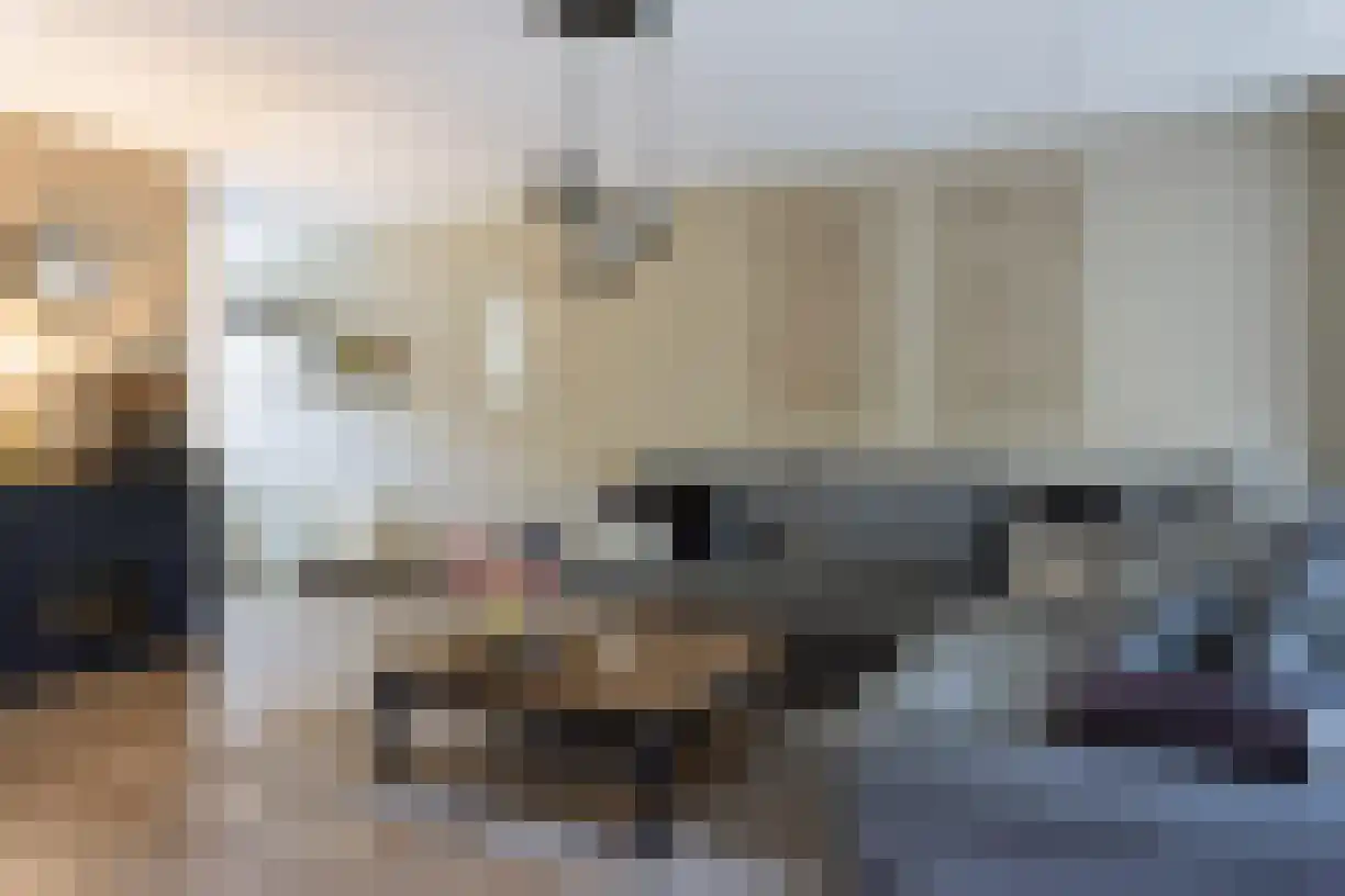 Kastanjelaan 162 Halsteren thumbnail 5