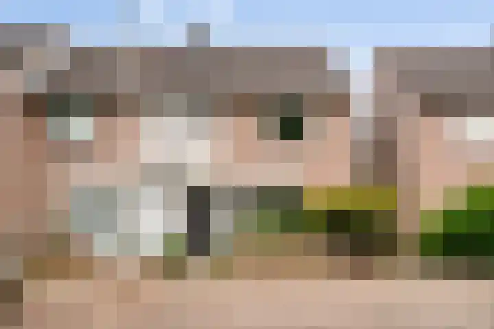 Kastanjelaan 17 Halsteren