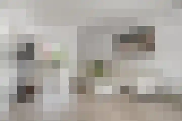 Kastanjelaan 17 Halsteren thumbnail 10