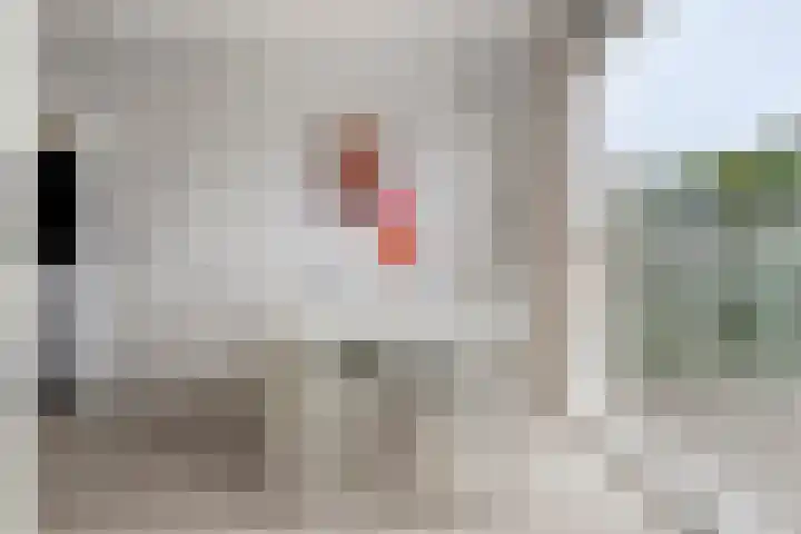Kastanjelaan 17 Halsteren thumbnail 11