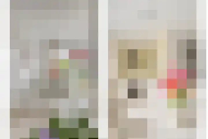 Kastanjelaan 17 Halsteren thumbnail 12