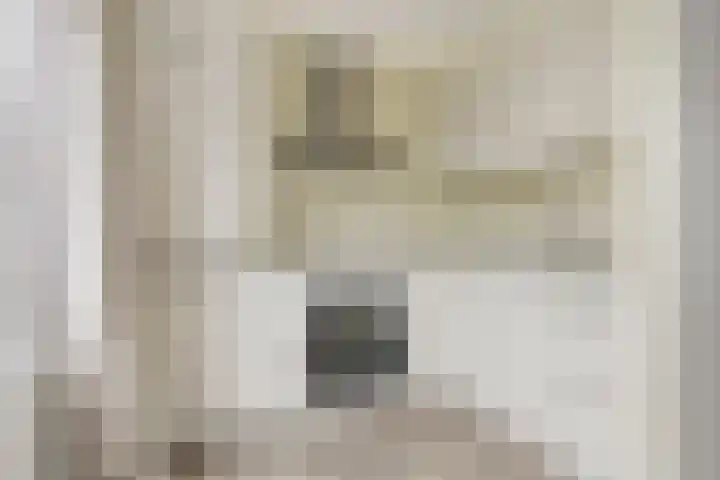 Kastanjelaan 17 Halsteren thumbnail 14
