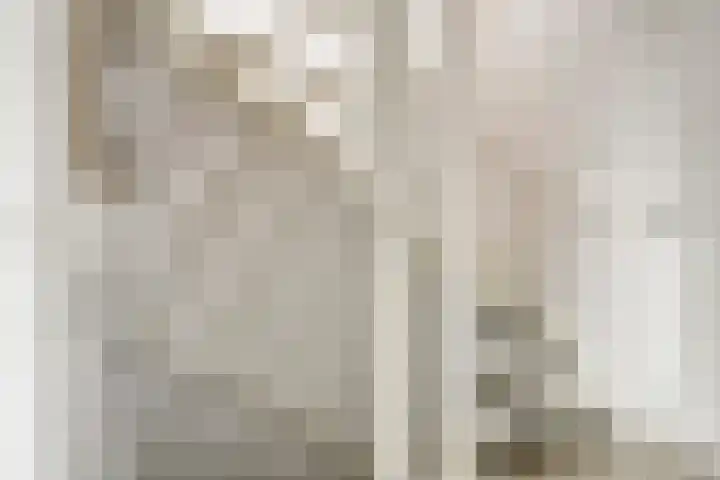 Kastanjelaan 17 Halsteren thumbnail 16
