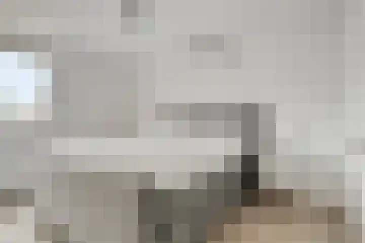 Kastanjelaan 17 Halsteren thumbnail 17