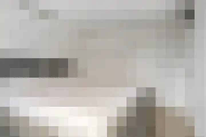 Kastanjelaan 17 Halsteren thumbnail 18