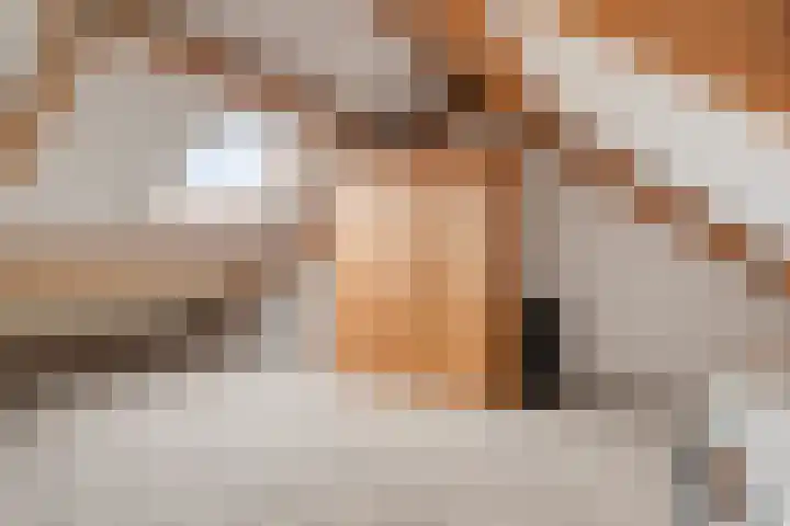 Kastanjelaan 17 Halsteren thumbnail 25