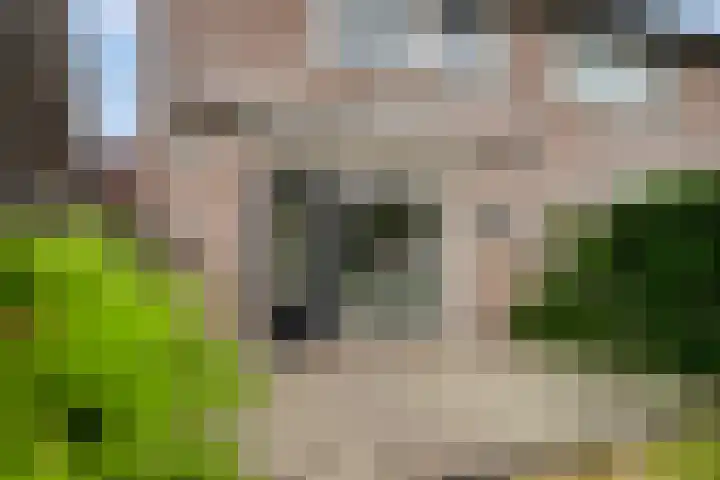 Kastanjelaan 17 Halsteren thumbnail 27