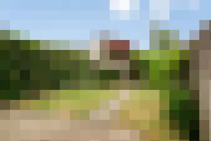Kastanjelaan 17 Halsteren thumbnail 28