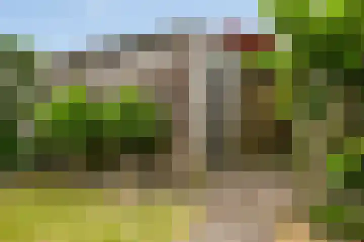 Kastanjelaan 17 Halsteren thumbnail 29