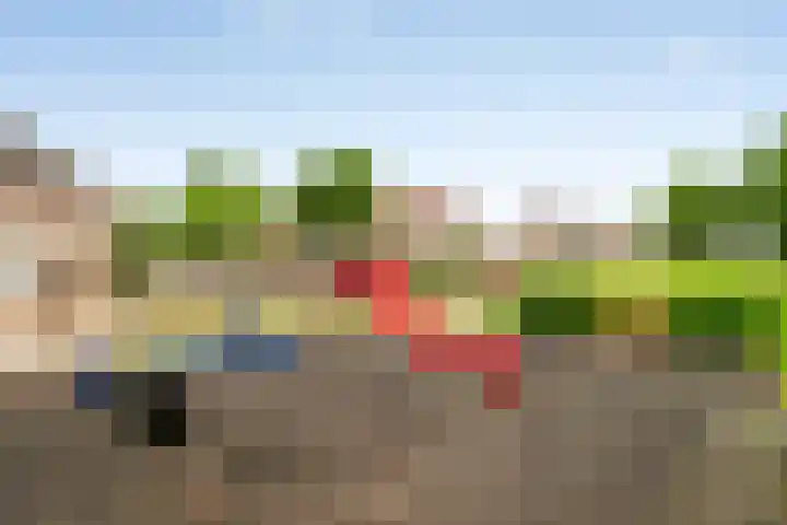 Kastanjelaan 17 Halsteren thumbnail 30