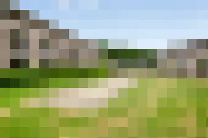 Kastanjelaan 17 Halsteren thumbnail 31