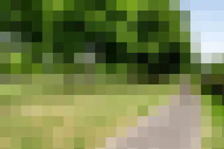 Kastanjelaan 17 Halsteren thumbnail 32