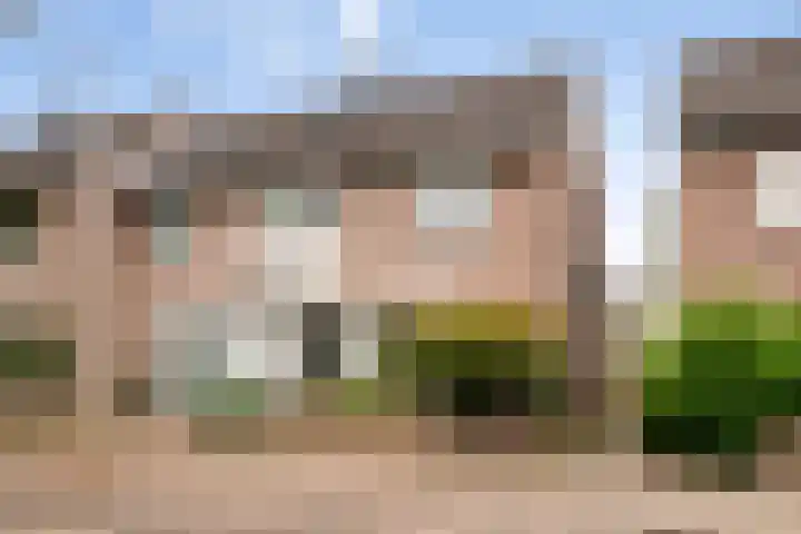 Kastanjelaan 17 Halsteren thumbnail 35