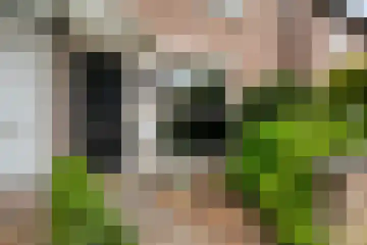 Kastanjelaan 17 Halsteren thumbnail 36