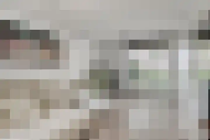 Kastanjelaan 17 Halsteren thumbnail 4