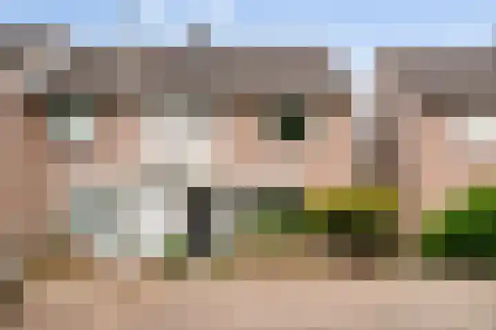 Kastanjelaan 17 Halsteren thumbnail 42
