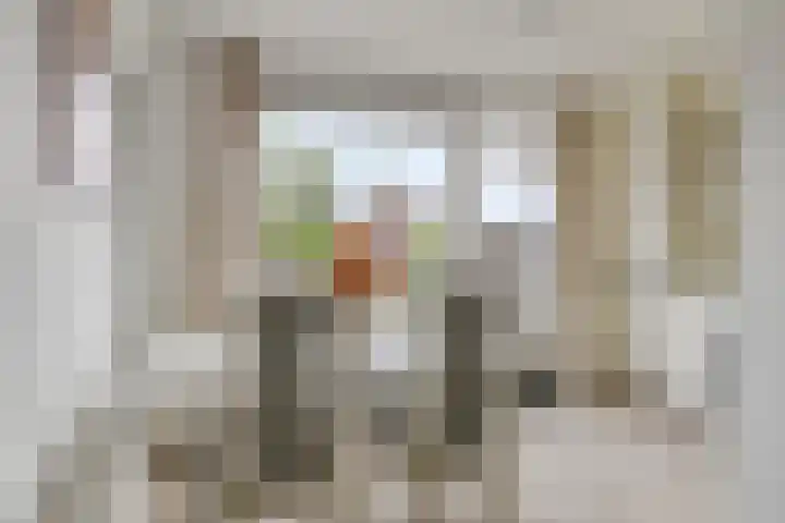 Kastanjelaan 17 Halsteren thumbnail 5