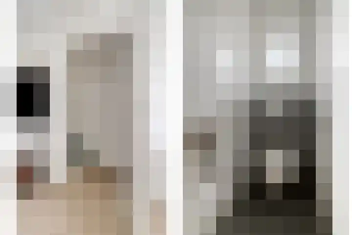 Kastanjelaan 17 Halsteren thumbnail 7