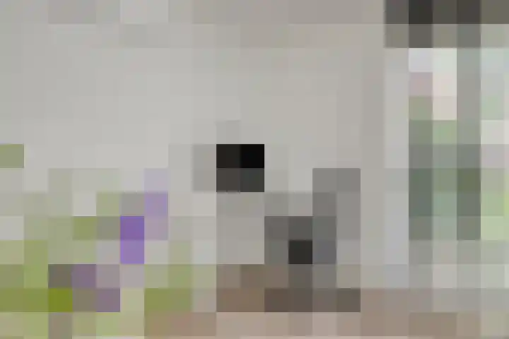 Kastanjelaan 17 Halsteren thumbnail 8