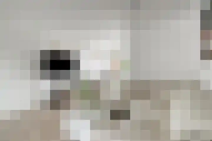 Kastanjelaan 17 Halsteren thumbnail 9
