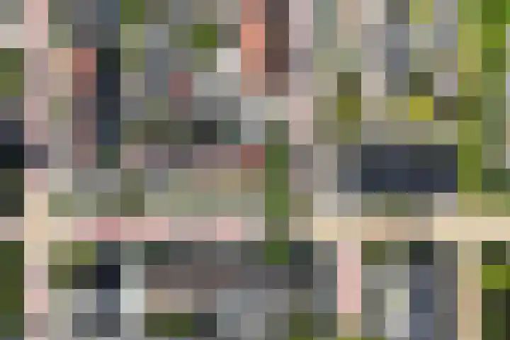 Kastanjelaan 17 Leimuiden thumbnail 18